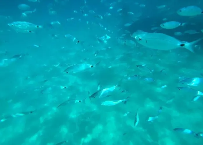 Casolare Al Porto 5*